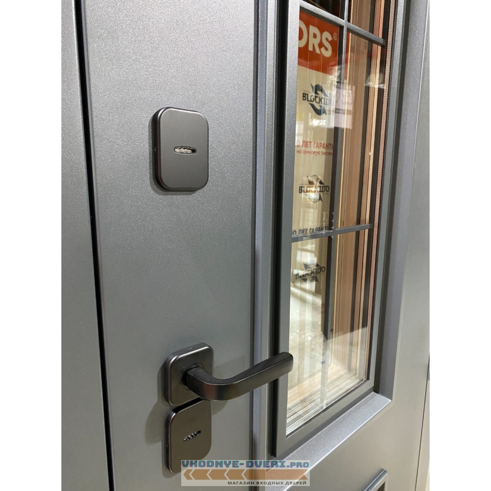 Дверь Бульдорс TERMO PREMIUM 1